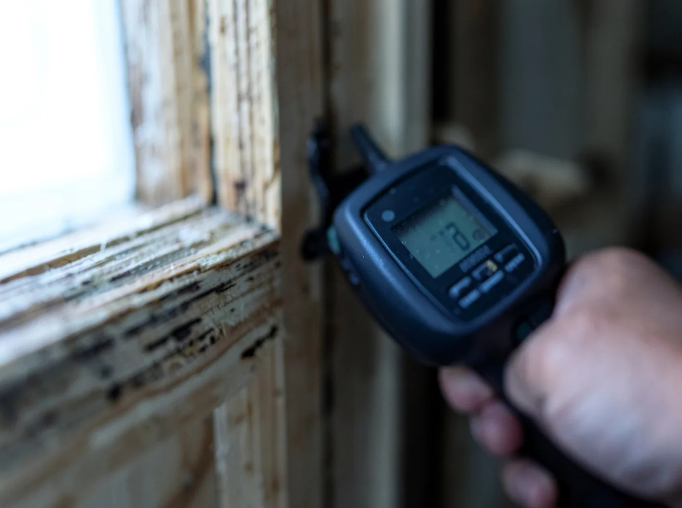 Moisture Inspection And Documentation in Boqueron, PR